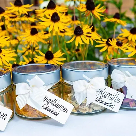 מלון Der Schuetthof